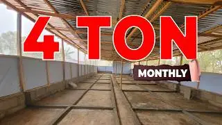 How We Built a 4-Ton BSF Facility | Complete Step-by-Step Guide