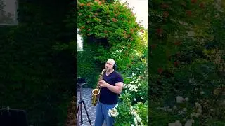 Desafinado (1st fragment, cover) #saxcover #saxophone #music #jazz #bossanova #bossanovajazz