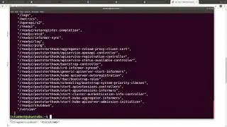 Accessing the Kubernetes API with kubectl