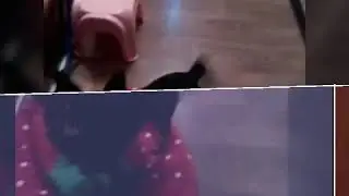 Собачка