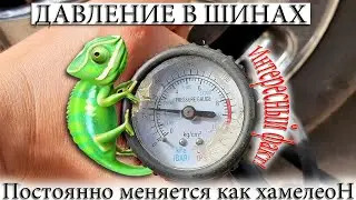 ☑️ ДАВЛЕНИЕ В ШИНАХ ПОСТОЯННО МЕНЯЕТСЯ, СЛОВНО ХАМЕЛЕОН ИНТЕРЕСНЫЙ ФАКТ.