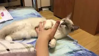 17 сентября 2020 г.