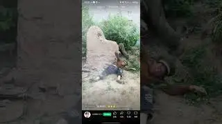 war