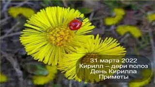 31 марта 2022 Святитель Кирилл. Кирилл – дери полоз. День Кирилла.  Приметы.
