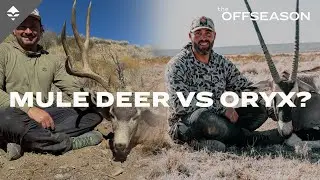 Oryx vs Mule Deer? Plus a New Redesign Coming Soon - THE OFFSEASON