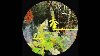 PREMIERE: Jokios Kultūros - Basic Level [Electric Shapes]