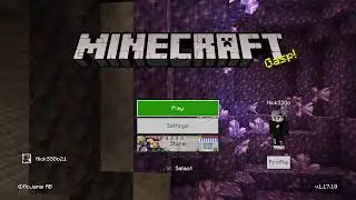 Minecraft Surival World