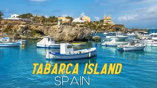 Day trip to Tabarca Island | Spain