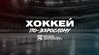 Топ 5 фактов о ВХЛ( Взрослой Хоккейной Лиги)
