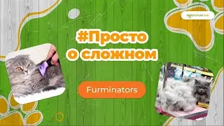 Просто о сложном / Что такое фурминатор и как он работает. Избавляемся от колтунов у кошек и собак.