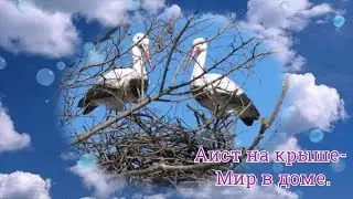 Аист на крыше - Мир в доме.