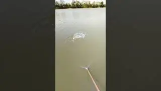 Морозовскии пруды. Белореченск.
