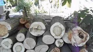 Обзор КаМаЗа