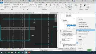 Duplicate a View? Duplicate a view with Detailing or Duplicate as a Dependent View?