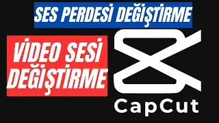 Capcut ile Videonun Sesini Değiştirme