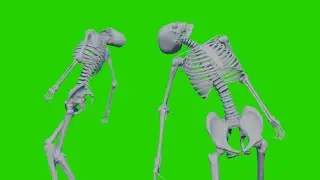 Skeleton Drunk after Halloween Party FREE Greenscreen ◈ Halloween spooky VFX