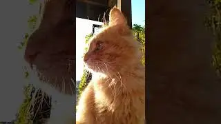 На солнце