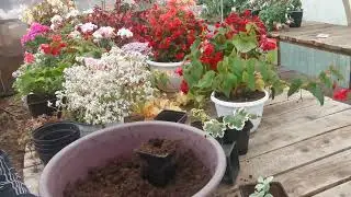 Раскрыло теплицу, придется переделывать