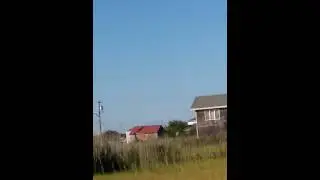 Fight to the death Crane vs Red wing black 🐦