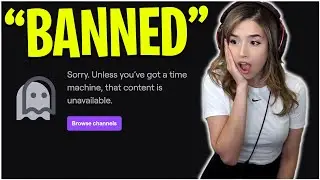 Popular Twitch Streamers Who GOT BANNED For No Reason...