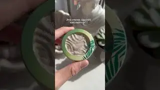 Артикул в тг: ksenobeauty🍒 