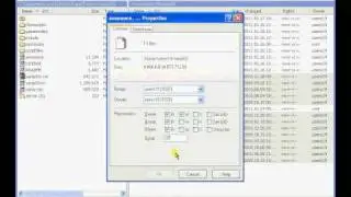 Winscp Samp server permissions