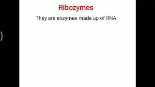 Ribozymes