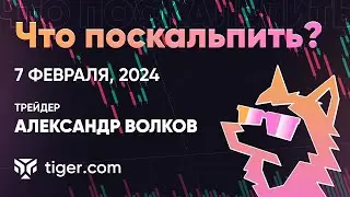 Что поскальпить? Обзор криптовалют  с Александром Волковым | 07.02.2024 - Tiger.com