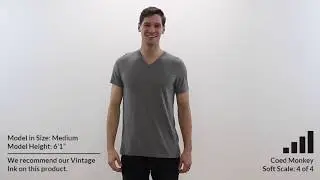 Custom CANVAS 50/25/25 V NECK T-Shirt Style 3415 360° Product Video by Coed Monkey