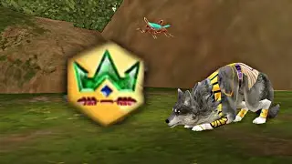 Выполняю задания Wild pass в Wild Craft