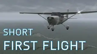 X11 First Short Flight | Cessna Skyhawk | +My Progress