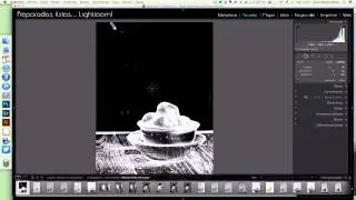 Cómo eliminar manchas con Lightroom 5