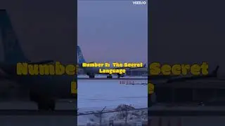 SHOCKING - 3 Untold Cabin Crew Secrets 
