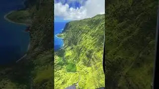 Beautiful Hawaii TikTok dudeloveskauai