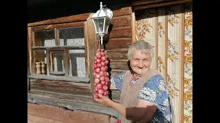 Лучший способ хранения лука!!! / Плетем луковый батман