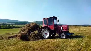 Т-25 сила и мощь. Заготовка сена. 