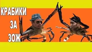 Приключения OZzy. КРАБИКИ