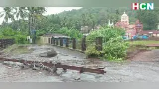 Visuals of trees uprooted, light poles damaged, Cyclone Tauktae impact in the state