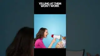 The Real Reason Why Cats Knock Things Over 