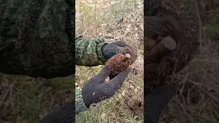 Коп по войне❗ГРАНАТА❗