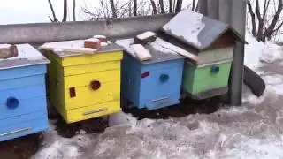 Зимовка март 2018. Готовлю точек.