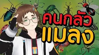 กลัวแมลงรึป่าวววววว 
