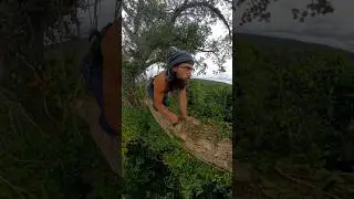 Amazon training