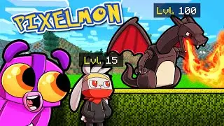 A Secret ONLY Pixelmon Veterans know...