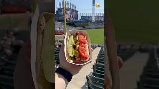 I tried the famous Comiskey Dog at Guaranteed Rate Field, home of the Chicago White Sox! #baseball