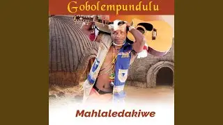 Ndisizeni