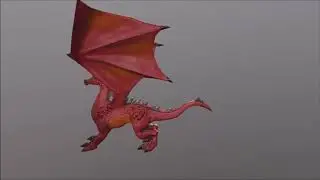 Another day another derg