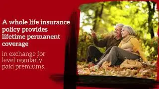 Term vs Whole Life Insurance - Which Is Best For You?