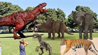Animals and Dinosaurs In The Park | T Rex, Velociraptors , Elephant, Cheetah, Giraffe