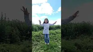 28 июня 2024 г.